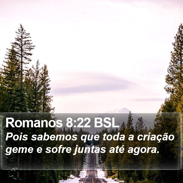 Romanos 8:22 BSL Bible Study
