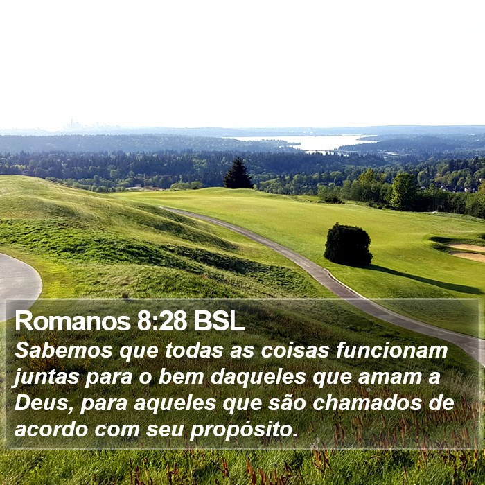 Romanos 8:28 BSL Bible Study