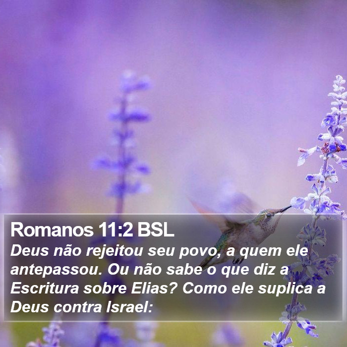 Romanos 11:2 BSL Bible Study