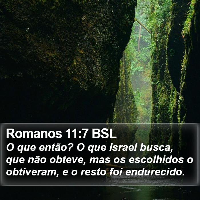 Romanos 11:7 BSL Bible Study