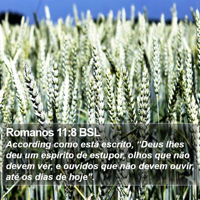 Romanos 11:8 BSL Bible Study