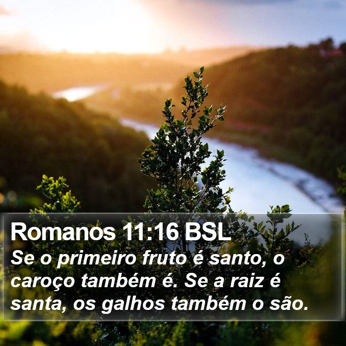 Romanos 11:16 BSL Bible Study