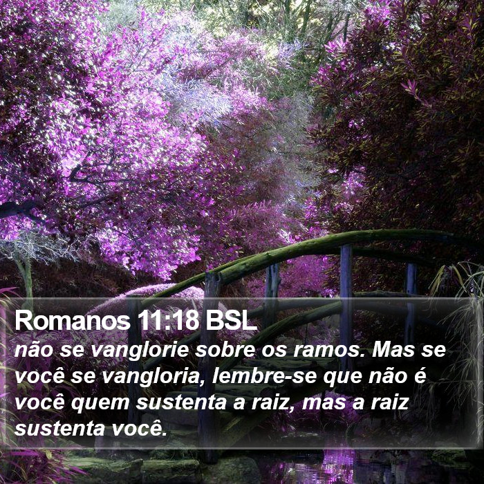 Romanos 11:18 BSL Bible Study