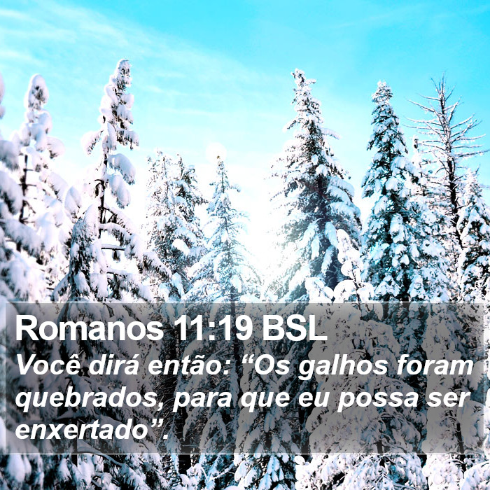 Romanos 11:19 BSL Bible Study