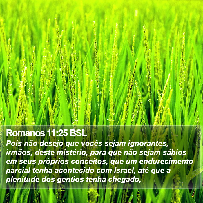 Romanos 11:25 BSL Bible Study