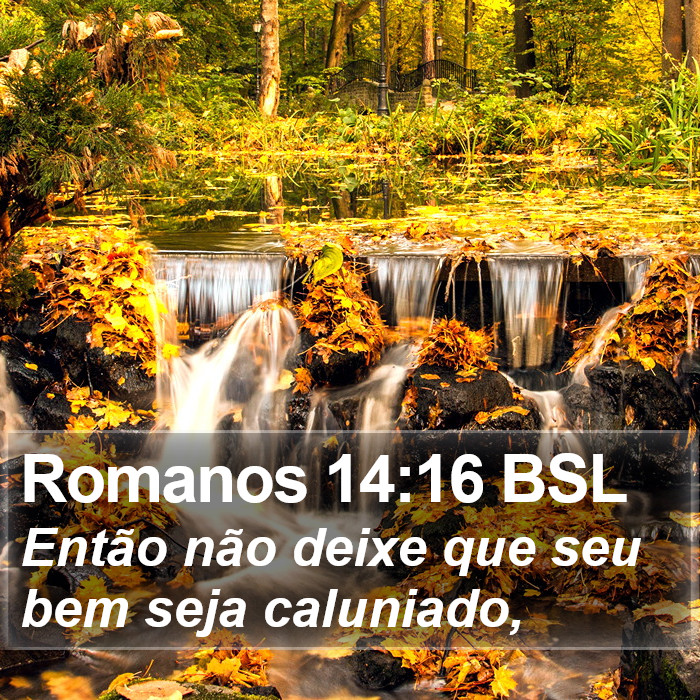 Romanos 14:16 BSL Bible Study