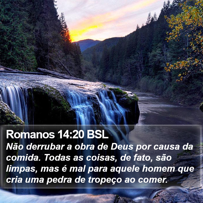 Romanos 14:20 BSL Bible Study