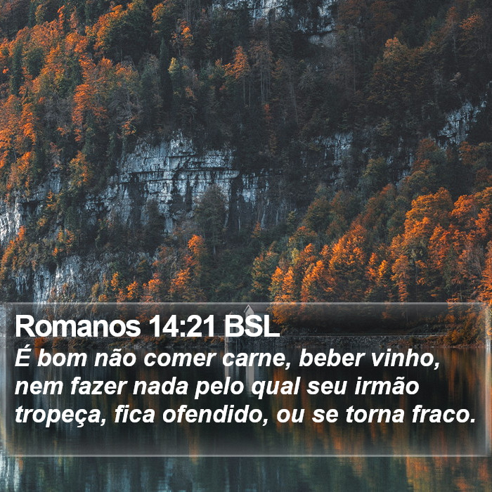 Romanos 14:21 BSL Bible Study