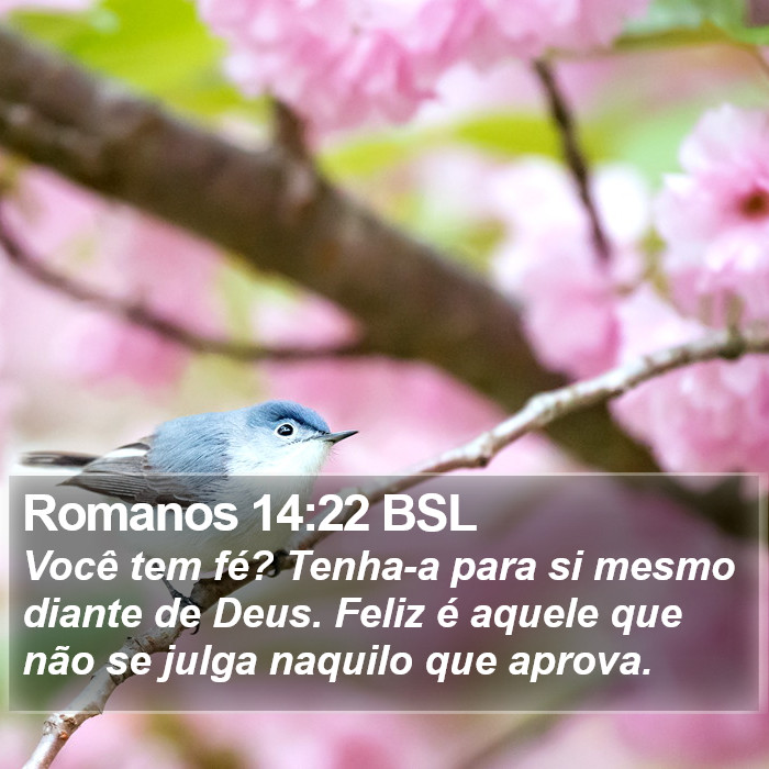 Romanos 14:22 BSL Bible Study