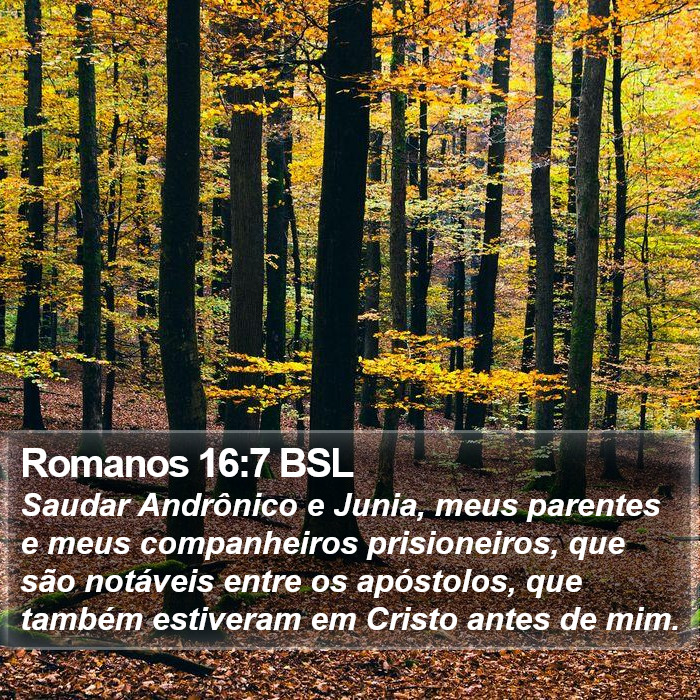 Romanos 16:7 BSL Bible Study