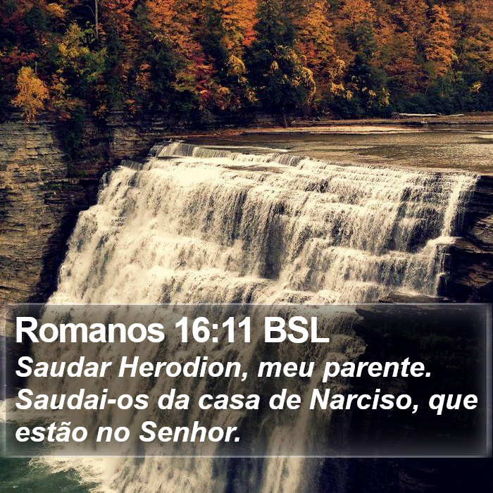 Romanos 16:11 BSL Bible Study