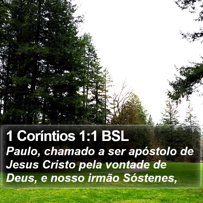 1 Coríntios 1:1 BSL Bible Study