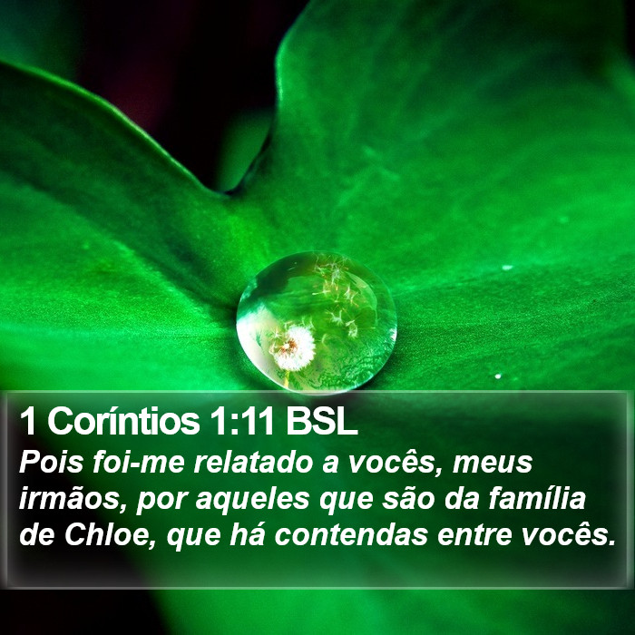 1 Coríntios 1:11 BSL Bible Study