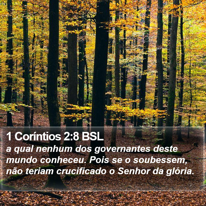 1 Coríntios 2:8 BSL Bible Study