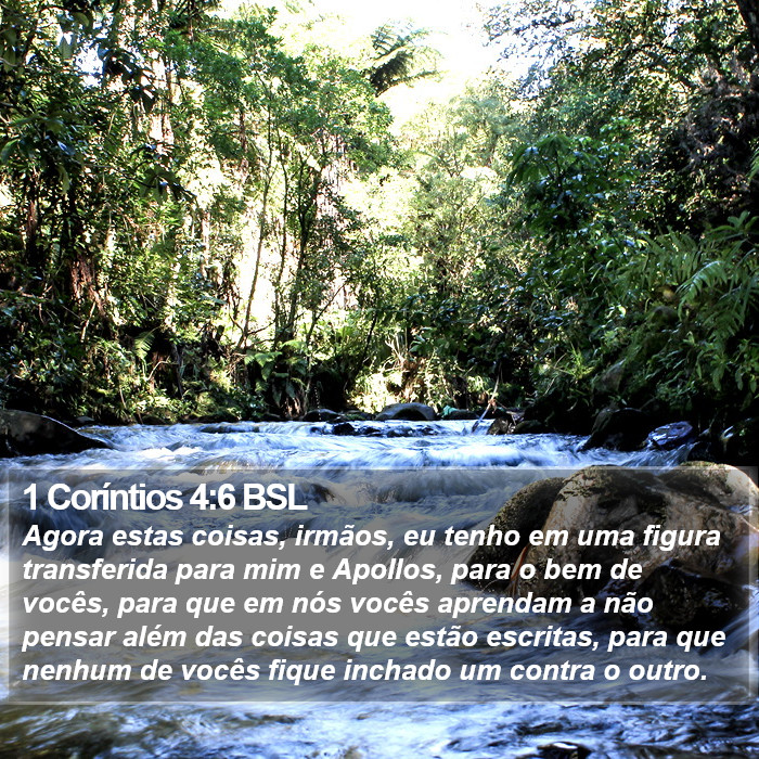 1 Coríntios 4:6 BSL Bible Study