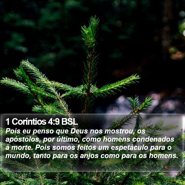 1 Coríntios 4:9 BSL Bible Study