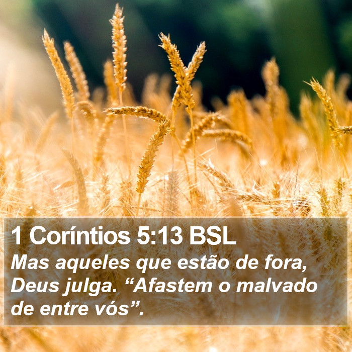 1 Coríntios 5:13 BSL Bible Study