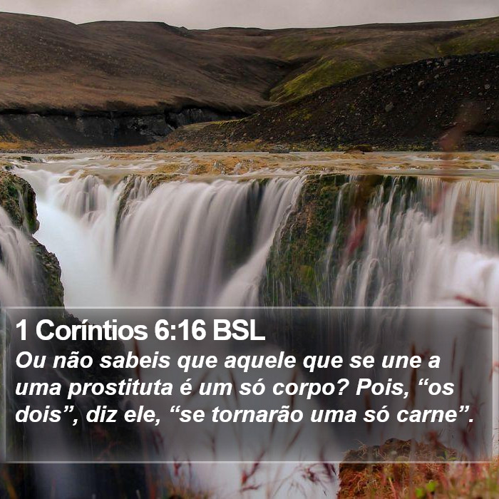 1 Coríntios 6:16 BSL Bible Study