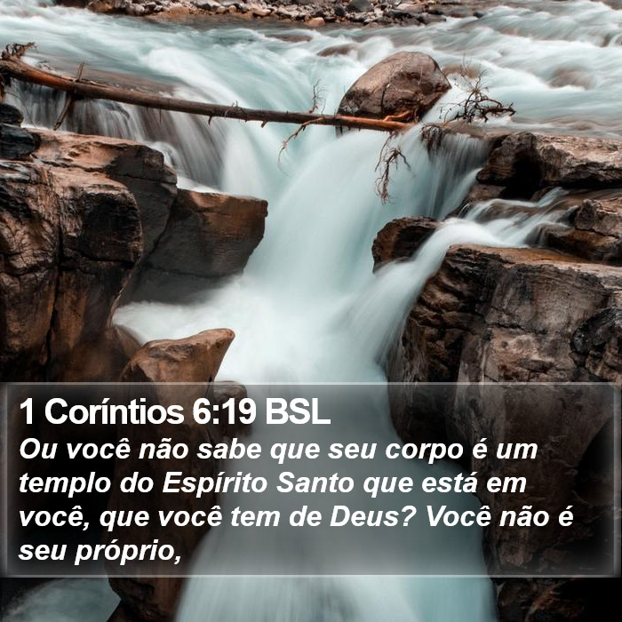 1 Coríntios 6:19 BSL Bible Study