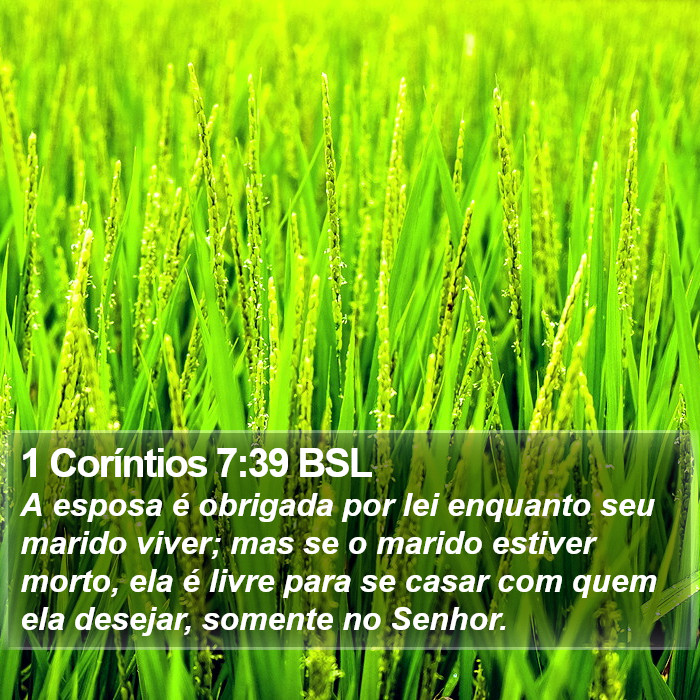 1 Coríntios 7:39 BSL Bible Study