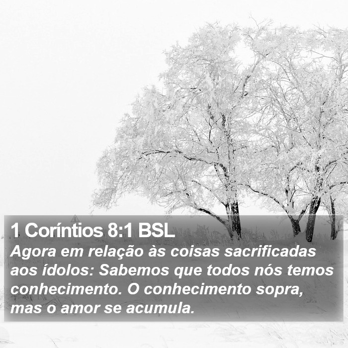 1 Coríntios 8:1 BSL Bible Study