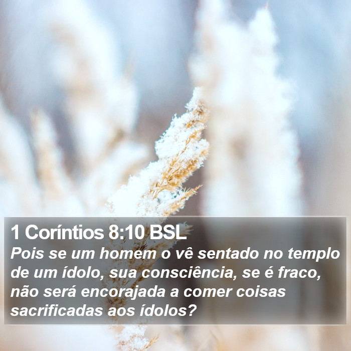 1 Coríntios 8:10 BSL Bible Study