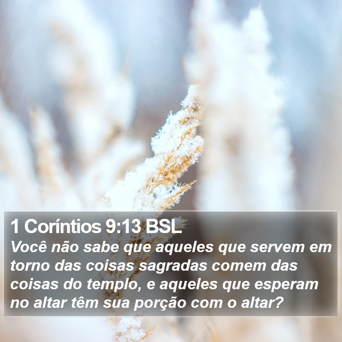 1 Coríntios 9:13 BSL Bible Study
