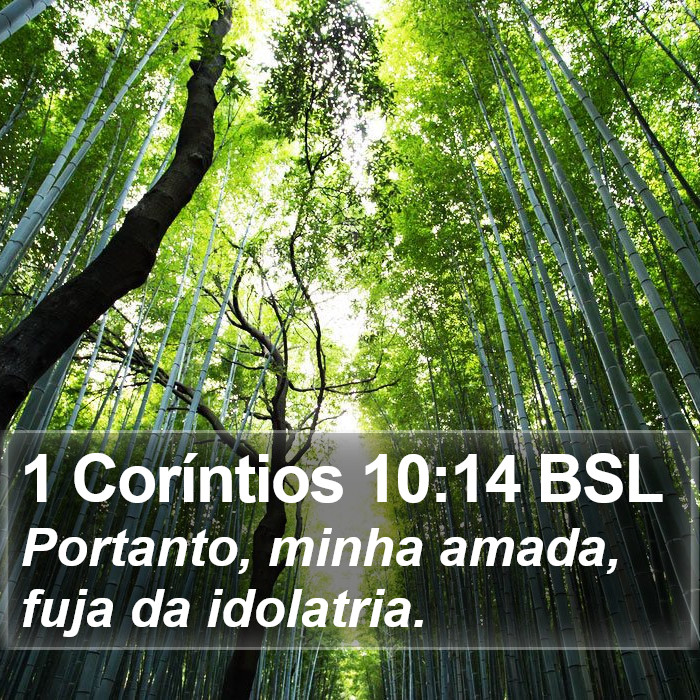 1 Coríntios 10:14 BSL Bible Study