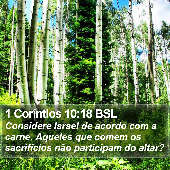 1 Coríntios 10:18 BSL Bible Study