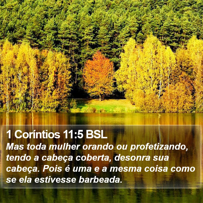1 Coríntios 11:5 BSL Bible Study