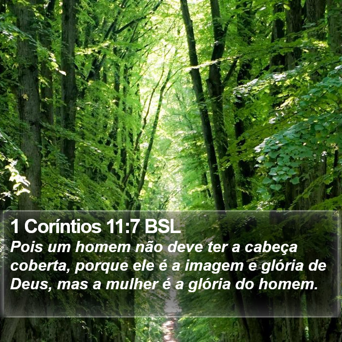 1 Coríntios 11:7 BSL Bible Study