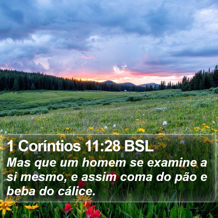 1 Coríntios 11:28 BSL Bible Study