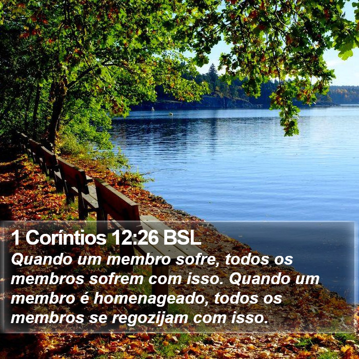 1 Coríntios 12:26 BSL Bible Study