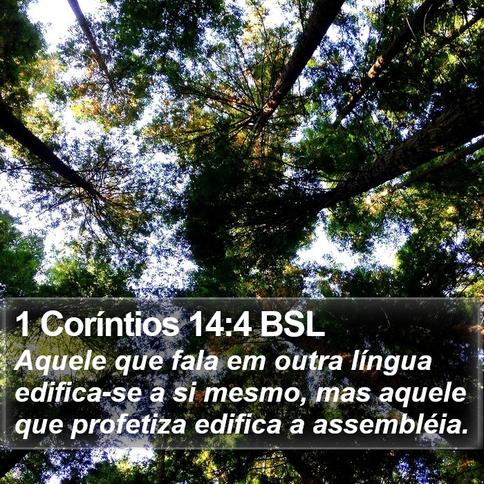1 Coríntios 14:4 BSL Bible Study
