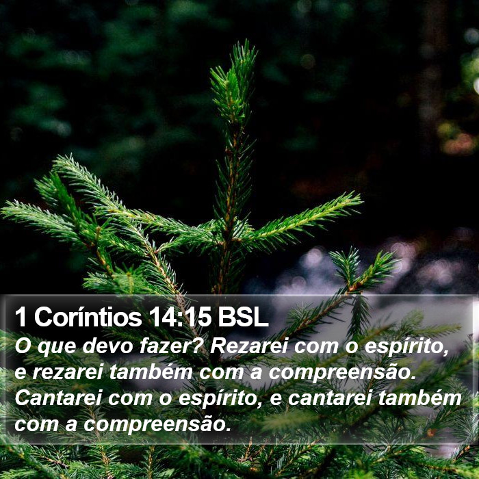 1 Coríntios 14:15 BSL Bible Study