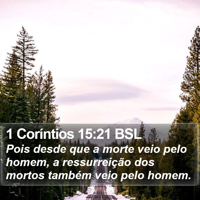 1 Coríntios 15:21 BSL Bible Study