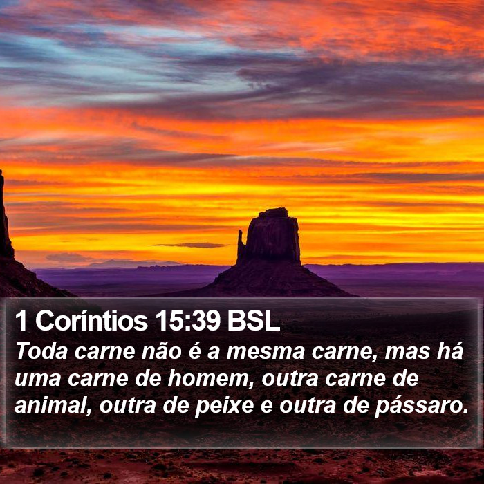 1 Coríntios 15:39 BSL Bible Study