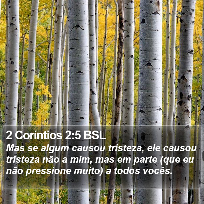 2 Coríntios 2:5 BSL Bible Study