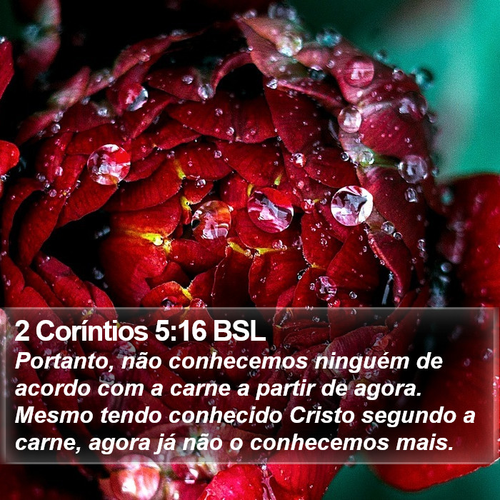 2 Coríntios 5:16 BSL Bible Study