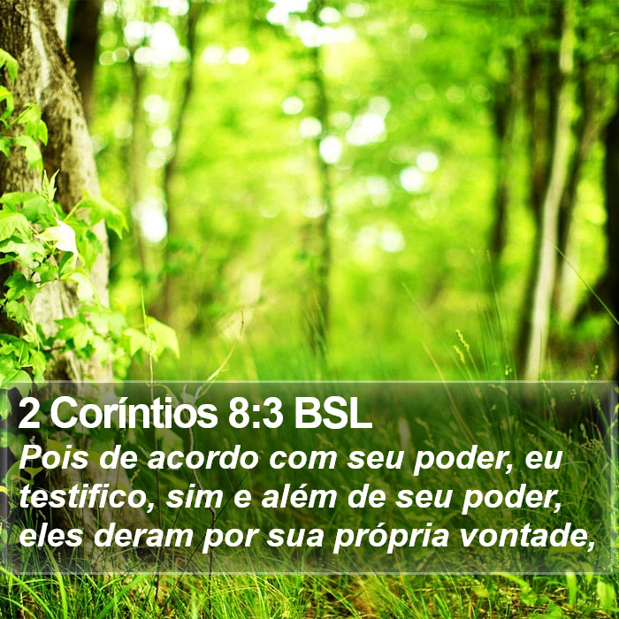 2 Coríntios 8:3 BSL Bible Study