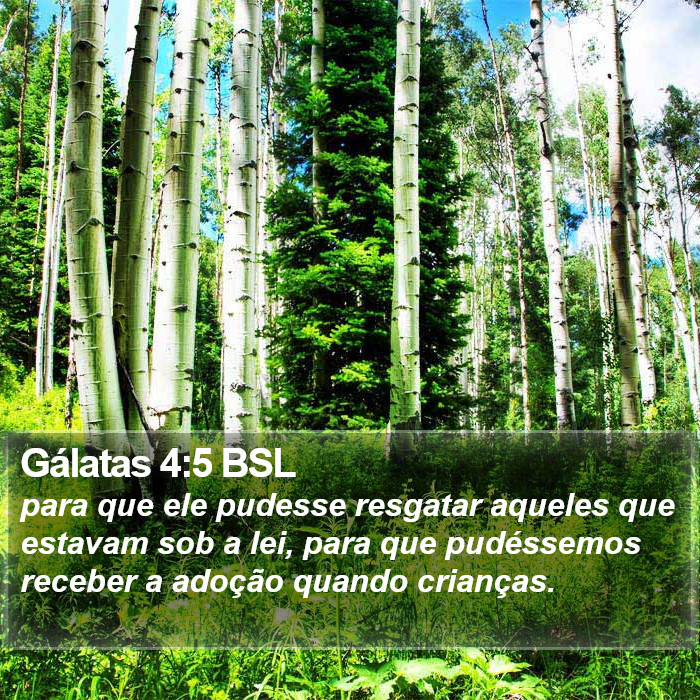Gálatas 4:5 BSL Bible Study