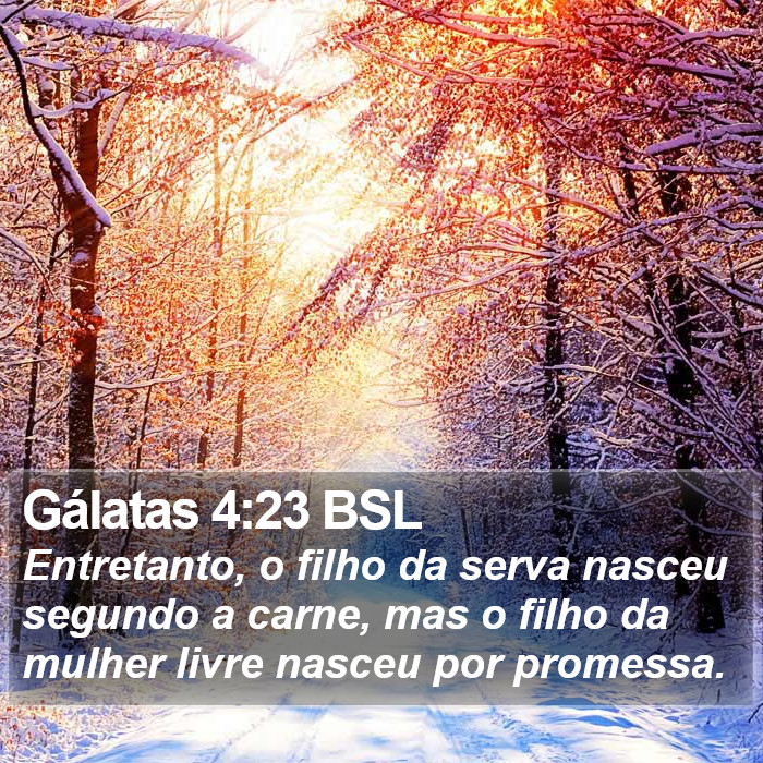 Gálatas 4:23 BSL Bible Study
