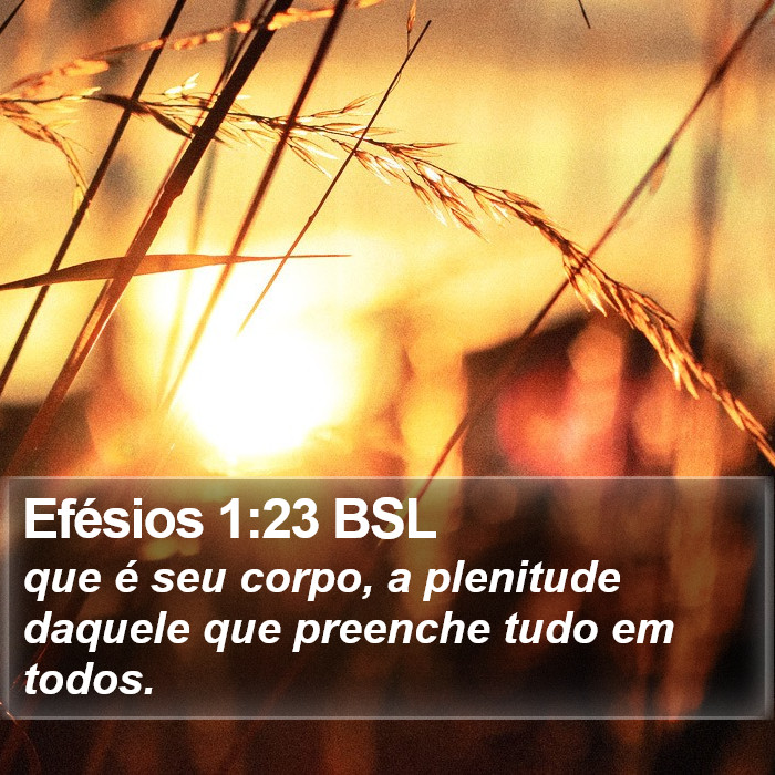 Efésios 1:23 BSL Bible Study