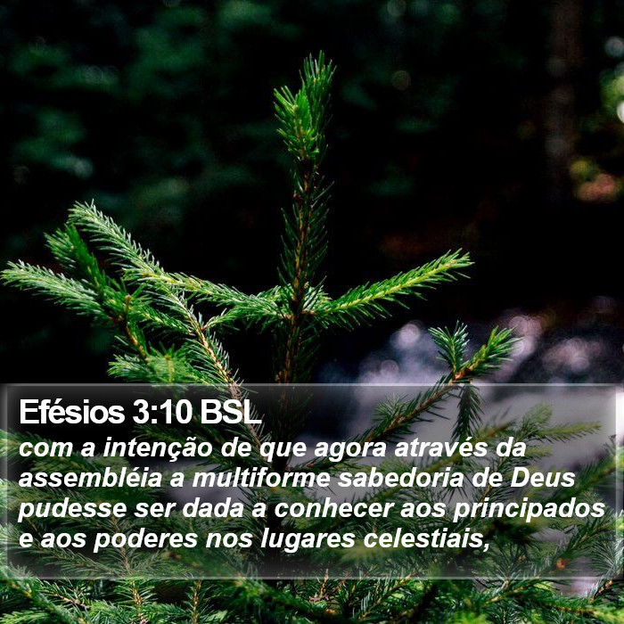 Efésios 3:10 BSL Bible Study