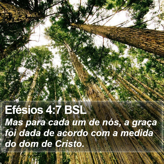 Efésios 4:7 BSL Bible Study