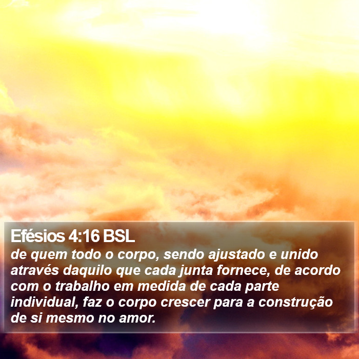 Efésios 4:16 BSL Bible Study