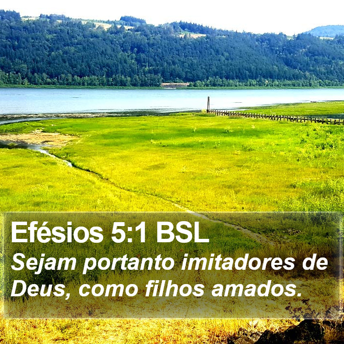 Efésios 5:1 BSL Bible Study