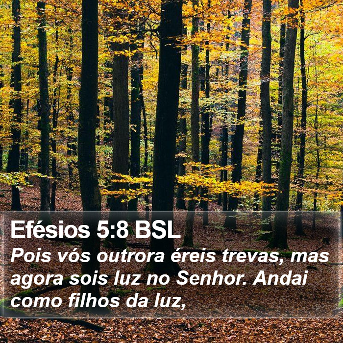 Efésios 5:8 BSL Bible Study