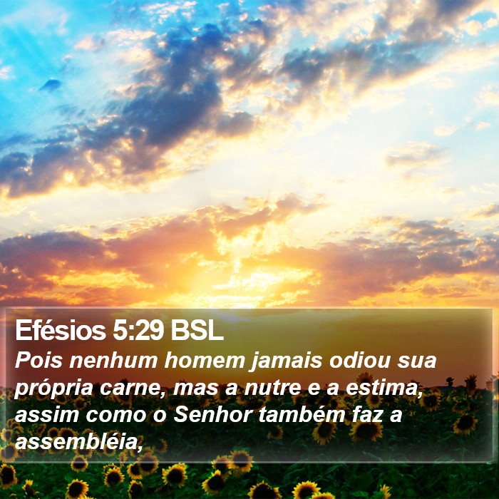 Efésios 5:29 BSL Bible Study