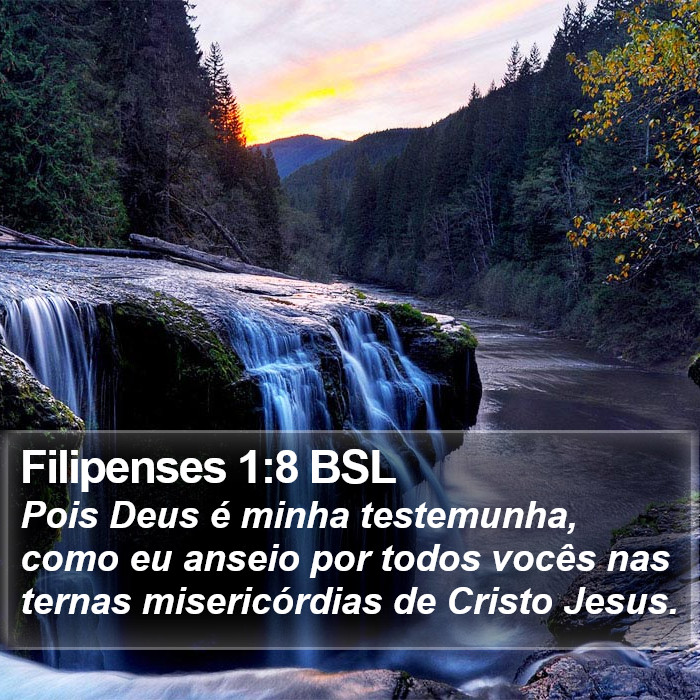 Filipenses 1:8 BSL Bible Study